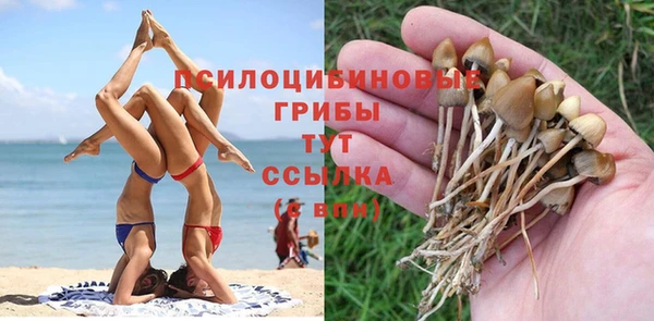 экстази Белокуриха