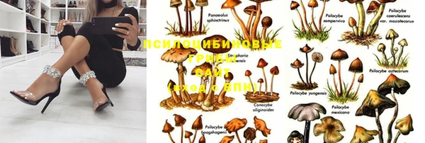 кокаин Беломорск